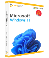 Microsoft Windows 11 Professional  Microsoft Windows 11 Professional